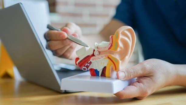 Explore Cutting-Edge Hearing Solutions